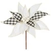 Eurofirany SW/KW/111 30X15CM B+CZAR