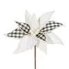 Eurofirany SW/KW/111 30X15CM B+CZAR