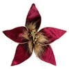 Eurofirany SW/KW/168 20X4 BORD+GOLD