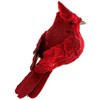Eurofirany SW/OZD/322A 6X13 CZER