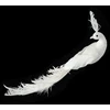 Eurofirany SW/OZD/607/D 31CM B