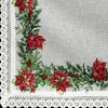 Eurofirany SW/XMAS/CHO/5 85X85 B+CZER