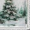 Eurofirany SW/XMAS/CHO/9 40X140 B+ZIEL