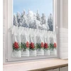Eurofirany SW/XMAS/FIR/5 30X150 TUNEL B+CZER