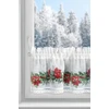 Eurofirany SW/XMAS/FIR/5 30X150 TUNEL B+CZER