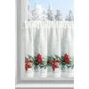 Eurofirany SW/XMAS/FIR/5 60X150 TUNEL B+CZER