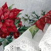 Eurofirany SW/XMAS/FIR/5 60X150 TUNEL B+CZER