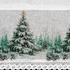 Eurofirany SW/XMAS/FIR/9 60X150 TUNEL B+ZIEL