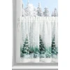 Eurofirany SW/XMAS/FIR/9 60X150 TUNEL B+ZIEL