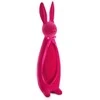 Eurofirany WI/C/FIG/247/C 9X12X35 AMAR