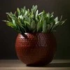 Eurofirany WY / FLOWER / 172 COPPER 20X20X20