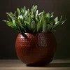 Eurofirany WY / FLOWER / 172 COPPER 20X20X20