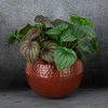 Eurofirany WY / FLOWER / 172 COPPER 20X20X20