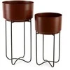 Eurofirany WY / FLOWER / 206 SET BROWN + CZAR / X2