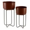 Eurofirany WY / FLOWER / 206 SET BROWN + CZAR / X2