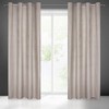 Eurofirany Užuolaidos DARCY / BEIG 140X250 TRANS