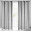 Eurofirany Užuolaidos DARCY / SR 140X250 TRANS