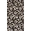 Eurofirany Užuolaidos MAGI / CZA + BEIGE 140X250 TRANS