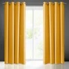 Eurofirany Užuolaidos RITA / MUSZ 140X250 TRANS