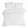Patalynės komplektas Eurofirany POS/MUSLIN/B 220X200 70X80/X2