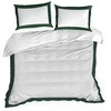 Patalynės komplektas Eurofirany POS/ST/REINA25B 220X200 70X80/X2 B+Z Patalynė