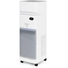 Webber AP9650 oro valytuvas