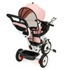 Ecotoys Triratukas Eco Toys, rožinis