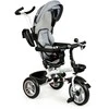 Ecotoys Besisukantis triratukas su gaubtu 360° Pilka
