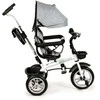 Ecotoys Besisukantis triratukas su gaubtu 360° Pilka