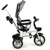 Ecotoys Besisukantis triratukas su gaubtu 360° Pilka