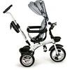 Ecotoys Besisukantis triratukas su gaubtu 360° Pilka