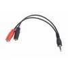 GEMBIRD CCA-417 Gembird Adapteris Stereo Mini Jack (M) 4-pin -> 2x Mini Jack (F), 20cm, juodas