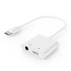 USB-C KABELAS PRIE GARSO 3,5 mm / LIZDAS A-CM-3,5FP-01 GEMBIRD
