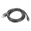 Gembird Cablexpert | CCP-USB2-AM5P-6 USB 2.0 A tipo kištukas MINI 5PM 6ft kabelis