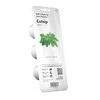 Click & Grow sėklos išmaniajam vazonui - katžolė, 3 vnt.