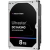 Sandisk HDD WESTERN DIGITAL ULTRASTAR Ultrastar DC HA340 8TB 256 MB 7200 rpm 3,5" 0B47078