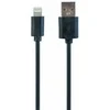 KABELIO ŽAIBAS Į USB2 3M/CC-USB2-AMLM-10 GEMBIRD