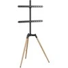 Laikiklis Gembird Stojak podłogowy pod telewizor (sukamasis), 32'' - 65''