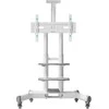 Laikiklis TV SET ACC MOBILE STAND/40-70"/Baltas TS1552-W ONKRON