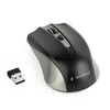 GEMBIRD MUSW-4B-04-GB Optinė belaidė pelė 1600DPI nano USB spacegrey juodas