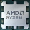 Procesorius CPU AMD Desktop Ryzen 9 9900X3D Granite Ridge AM5 4400 MHz Cores 12 128MB Socket SAM5 120 Watts GPU Radeon OEM 100-000001368