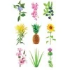 Click &amp; Grow Smart Garden papildymas Grow Anything 3 tk