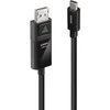 Lindy USB-C į DisplayPort kabelis su jungčių žymėjimu