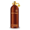 Montale Paris Amber &amp; Spices UNISEX (Kvepalai Vyrams ir Moterims) EDP 100ml (BE PAKUOTĖS)
