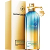 Montale Paris Aoud Lagoon UNISEX (Kvepalai Vyrams ir Moterims) EDP - 100ml