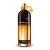 Montale Paris Aoud Night UNISEX (Kvepalai Vyrams ir Moterims) EDP 100ml (BE PAKUOTĖS)