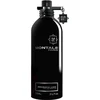 Montale Paris Aromatic Lime UNISEX (Kvepalai Vyrams ir Moterims) EDP 100ml (BE PAKUOTĖS)