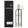 Montale Paris Vanille Absolu for Women (Kvepalai Moterims) EDP - 100ml - (BE PAKUOTĖS)
