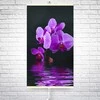 Naujos kartos ilgųjų infraraudonųjų spindulių šildytuvas orchidėja