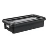 Plastikinė dėžė Pro Box Plast Team 31L juoda